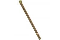 Анкерный болт с гайкой 10х180